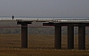 Gyrfalcon.jpg