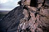 at-nest-view1.jpg