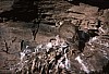 at-nest1.jpg