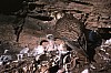 at-nest6.jpg