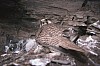 on-nest5.jpg