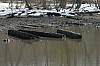 DSC_0011.jpg
