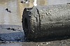 DSC_0013.jpg