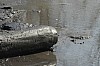 DSC_0015.jpg