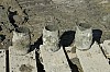 DSC_0043.jpg