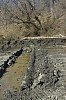 DSC_0051.jpg