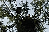 M11-13-three.jpg
