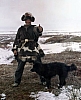 Siberian-reindeer-husky.jpg