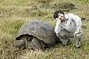 giant-tortouse1.jpg