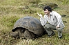 giant-tortouse2.jpg