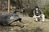 giant-tortouse4.jpg