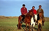 mongolianhorses.jpg