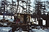 spring-siberian-hut.jpg