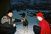 with-mule-deer.jpg
