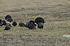 DSC_0005.JPG