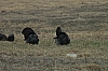 DSC_0008.JPG