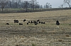 DSC_0009.JPG