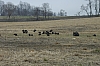DSC_0010.JPG