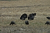 DSC_0013.JPG