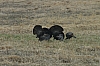 DSC_0014.JPG