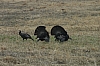 DSC_0015.JPG