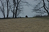 DSC_0016.JPG