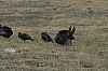 DSC_0017.JPG
