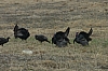 DSC_0018.JPG
