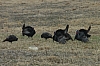 DSC_0019.JPG
