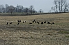 DSC_0022.JPG