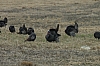 DSC_0023.JPG