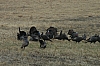 DSC_0024.JPG
