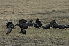 DSC_0025.JPG