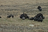 DSC_0026.JPG