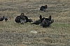 DSC_0027.JPG