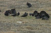 DSC_0028.JPG