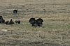 DSC_0029.JPG