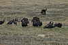 DSC_0030.JPG