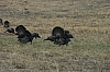 DSC_0032.JPG