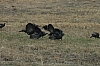 DSC_0033.JPG