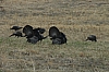 DSC_0034.JPG