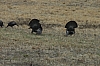 DSC_0035.JPG