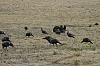 DSC_0047.JPG