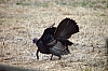 DSC_0051.JPG