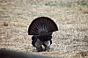 DSC_0053.JPG