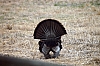 DSC_0054.JPG