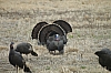 DSC_0057.JPG