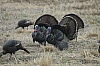 DSC_0063.JPG