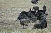 DSC_0089.JPG