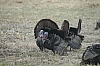DSC_0094.JPG
